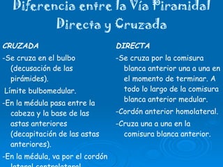 Diferencia entre la Vía Piramidal Directa y Cruzada CRUZADA -Se cruza en el bulbo (decusación de las pirámides). Límite bulbomedular. -En la médula pasa entre la cabeza y la base de las astas anteriores (decapitación de las astas anteriores). -En la médula, va por el cordón lateral contralateral. -Se cruza todo el contingente. DIRECTA -Se cruza por la comisura blanca anterior una a una en el momento de terminar. A todo lo largo de la comisura blanca anterior medular. -Cordón anterior homolateral. -Cruza una a una en la comisura blanca anterior. 