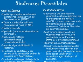Síndromes Piramidales FASE FLÁCCIDA -Parálisis predomina en músculos Extensores (MMSS) y en los Flexoeversores (MMII). -Afecta + a músculos volitivos (movimientos finos en MS). -Parálisis fláccida. -Hipotonía (+ en los movimientos de extensión). -Abolición de reflejos osteotendinosos y cutáneoabdominales. -Presente signo de Babinski. Y Hoffman. -Si la lesión es unilateral y por encima de la decusación bulbar, la parálisis será Contralateral. -Si la lesión radica por debajo de la decusación, será Homolateral, porque la mayoría de las fibras piramidales se han decusado. FASE ESPÁSTICA -Se produce una contractura piramidal o estado espástico; por la exageración del reflejo miotático, como consecuencia de la hipertonía de las fibras musculares fusiolares liberadas del control piramidal. -Contractura espástica de los músculos más volitivos, con predominio sobre Flexores (MMSS) y extensores (MMII). -Hiperreflexia osteotendinosa. -Clonus y sincinesias (movimientos involuntarios que afectan a un grupo muscular que no interviene en la acción voluntaria o automática, ejecutada por el paciente). -Marcha en hoz o guadaña. 