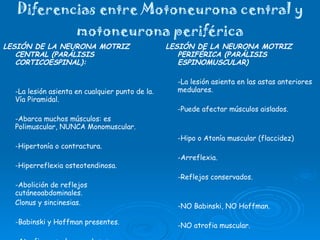 Diferencias entre Motoneurona central y motoneurona periférica LESIÓN DE LA NEURONA MOTRIZ CENTRAL (PARÁLISIS CORTICOESPINAL): -La lesión asienta en cualquier punto de la. Vía Piramidal. -Abarca muchos músculos: es Polimuscular, NUNCA Monomuscular. -Hipertonía o contractura. -Hiperreflexia osteotendinosa. -Abolición de reflejos cutáneoabdominales. Clonus y sincinesias. -Babinski y Hoffman presentes. -Atrofia muscular por desuso. -NO presencia de fasciculaciones. LESIÓN DE LA NEURONA MOTRIZ PERIFÉRICA (PARÁLISIS ESPINOMUSCULAR) -La lesión asienta en las astas anteriores medulares. -Puede afectar músculos aislados. -Hipo o Atonía muscular (flaccidez) -Arreflexia. -Reflejos conservados. -NO Babinski, NO Hoffman. -NO atrofia muscular. -Presencia de fasciculaciones.  