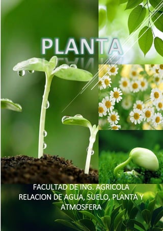 FACULTAD DE ING. AGRICOLA
RELACION DE AGUA, SUELO, PLANTA Y
ATMOSFERA
PLANTA
 