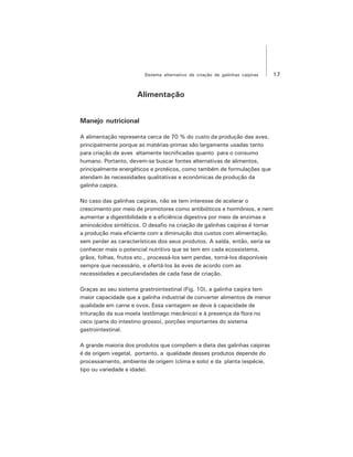 17Sistema alternativo de criação de galinhas caipiras
Alimentação
Manejo nutricional
A alimentação representa cerca de 70 % do custo da produção das aves,
principalmente porque as matérias-primas são largamente usadas tanto
para criação de aves altamente tecnificadas quanto para o consumo
humano. Portanto, devem-se buscar fontes alternativas de alimentos,
principalmente energéticos e protéicos, como também de formulações que
atendam às necessidades qualitativas e econômicas de produção da
galinha caipira.
No caso das galinhas caipiras, não se tem interesse de acelerar o
crescimento por meio de promotores como antibióticos e hormônios, e nem
aumentar a digestibilidade e a eficiência digestiva por meio de enzimas e
aminoácidos sintéticos. O desafio na criação de galinhas caipiras é tornar
a produção mais eficiente com a diminuição dos custos com alimentação,
sem perder as características dos seus produtos. A saída, então, seria se
conhecer mais o potencial nutritivo que se tem em cada ecossistema,
grãos, folhas, frutos etc., processá-los sem perdas, torná-los disponíveis
sempre que necessário, e ofertá-los às aves de acordo com as
necessidades e peculiaridades de cada fase de criação.
Graças ao seu sistema grastrointestinal (Fig. 10), a galinha caipira tem
maior capacidade que a galinha industrial de converter alimentos de menor
qualidade em carne e ovos. Essa vantagem se deve à capacidade de
trituração da sua moela (estômago mecânico) e à presença da flora no
ceco (parte do intestino grosso), porções importantes do sistema
gastrointestinal.
A grande maioria dos produtos que compõem a dieta das galinhas caipiras
é de origem vegetal, portanto, a qualidade desses produtos depende do
processamento, ambiente de origem (clima e solo) e da planta (espécie,
tipo ou variedade e idade).
 