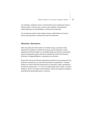 23Sistema alternativo de criação de galinhas caipiras
ser utilizados, podendo ocorrer o fornecimento sem restrição de frutos e
folhas verdes, contanto que a mistura seja farelada e devidamente
balanceada para as necessidades nutricionais de cada fase.
Os comedouros devem estar sempre limpos e distribuídos em locais e
alturas que permitam o acesso das aves aos alimentos.
Alimentos alternativos
Além dos grãos de milho moído e do farelo de soja, que são os mais
largamente utilizados em dietas de frangos, pintos e galinhas, outras
opções de alimentos podem ser utilizadas desde que tenham composição
química adequada e sejam isentos de substâncias antinutricionais que
dificultem a disgestibilidade e a absorção de nutrientes.
Essas alternativas alimentares geralmente resultam do processamento de
produtos comestíveis, por isso são chamados de subprodutos. Também
podem ser restos culturais da agricultura ou pecuária, tendo, geralmente,
ocorrência sazonal (Fig. 11). Uma vez selecionados para compor a mistura
dietética, devem ser limpos e processados, isentos de qualquer toxidade e
perfeitamente apropriados para o consumo.
 