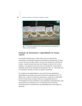 24 Sistema alternativo de criação de galinhas caipiras
Avaliação de desempenho e digestibilidade de frangos
caipiras
É de grande interesse que o criador saiba como seu plantel está
convertendo a alimentação ingerida em produção, principalmente em carne
e ovos. Para isso, ele deve medir o consumo de alimento de cada fase de
criação, o ganho de peso das aves encontradas na fase de cria, recria e
engorda, e a produção de ovos das aves em reprodução. A esse tipo de
avaliação, denomina-se avaliação de desempenho (Fig. 12). De acordo com
os resultados, deverão ser feitos os ajustes necessários.
Em criatórios mais especializados, uma outra forma de avaliação da
capacidade de conversão é por meio de ensaio de metabolismo (Fig. 13).
Nesse caso, o técnico nutricionista terá que ter o apoio de um laboratório
que lhe forneça todos os dados relativos à composição química e
bromatológica da mistura dietética e dos ingredientes separadamente, para
que possam ser comparados com a composição dos excrementos,
resultando assim no conhecimento da capacidade das aves de digerir os
alimentos.
Fig. 11. Misturas dietéticas com níveis diferentes de inclusão de
folha e raiz de mandioca.
Foto:F.J.V.Barbosa
 