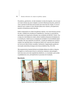 44 Sistema alternativo de criação de galinhas caipiras
Foto:F.J.V.Barbosa
Fig.42. Comedouro tipo calha na altura do dorso da ave.
Os poleiros, geralmente, só são instalados na área de engorda, uma vez que
um maior número de aves é alojado e ocorrem diferenças de porte, tendo em
vista o período de 60 dias preconizado para essa fase de criação. É comum
observar que o poleiro é mais utilizado pelas aves maiores, principalmente
quando a temperatura está mais alta.
Estão à disposição do criador de galinhas caipiras, nos mais diversos pontos
do país, modelos de comedouros e bebedouros, manuais ou automáticos,
que podem ser largamente utilizados nas condições do SACAC. Porém, fica
a cargo da criatividade do criador utilizar modelos artesanais de bebedouros
e comedouros, desde que as condições de sanidade e funcionalidade sejam
mantidas. No caso específico do SACAC, a opção por bebedouros confecci-
onados com garrafas pets e comedouros feitos com varas de cano plástico
em forma de calha foi bem sucedida, facilitando a higienização quando da
renovação sistemática da água e da mistura dietética (Fig. 42 e 43).
São equipamentos imprescindíveis às atividades diárias do aviário a máquina
forrageira ou moinho para triturar os alimentos, balanças para pesagem,
tanto das aves como dos ingredientes dietéticos, e o ovoscópio, para avaliar
a qualidade dos ovos, principalmente no processo de incubação.
Sanidade
 