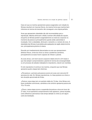 51Sistema alternativo de criação de galinhas caipiras
Caso em que os machos apresentam pesos exagerados com relação às
fêmeas resultam em traumas físicos, da mesma forma que machos bem
inferiores em termos de tamanho não conseguem uma cópula perfeita.
Aves que apresentem obesidade não são recomendadas para a
reprodução. Machos diminuem a libido e sentem dificuldade de copular,
enquanto as fêmeas perdem exageradamente as reservas corporais no
momento de postura e principalmente quando estão submetidas à
incubação. Com a obesidade, diminuem o tamanho e o número de ovos. A
obesidade das fêmeas é percebida pela apalpação da região abdominal da
ave, principalmente próximo à cloaca.
Deverão ser imediatamente descartadas as aves que apresentarem
defeitos físicos, sinais de vícios ou taras e problemas sanitários,
principalmente se esses forem capazes de infestar o plantel.
As aves ativas, com bom escore corporal e idade entre 6 e 24 meses e
que não estejam comprometendo o plantel em termos de consangüinidade
ou em processo de seleção indesejável e improdutivo, devem ser mantidas.
O ciclo reprodutivo é continuo nos machos, enquanto que nas fêmeas
apresenta quatro etapas bem distintas:
.Pré-postura: a primeira pré-postura ocorre em aves com cerca de 22
semanas de vida. Em fêmeas reprodutivas, é a fase posterior ao choco e
tem duração aproximada de 8 dias.
.Postura: essa etapa tem um período médio de 15 dias. Uma fêmea com
boas condições nutricionais, sanitárias e de conforto apresenta postura de
10 a 15 ovos.
.Choco: nessa etapa ocorre a suspensão da postura e dura em torno de
21 dias. A ave apresenta comportamento mais agressivo, penas eriçadas,
canto diferente e permanece mais tempo deitada no ninho ou em algum
canto da instalação.
 