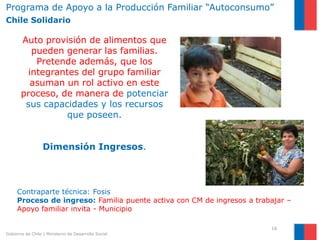 Programa de Apoyo a la Producción Familiar “Autoconsumo”
Chile Solidario

       Auto provisión de alimentos que
          pueden generar las familias.
           Pretende además, que los
         integrantes del grupo familiar
          asuman un rol activo en este
       proceso, de manera de potenciar
        sus capacidades y los recursos
                  que poseen.


                  Dimensión Ingresos.



     Contraparte técnica: Fosis
     Proceso de ingreso: Familia puente activa con CM de ingresos a trabajar –
     Apoyo familiar invita - Municipio

                                                                        16
Gobierno de Chile | Ministerio de Desarrollo Social
 