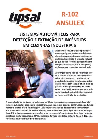 Sistema Detecção e Extinção Automática R-102 para Cozinhas Industriais - TIPSAL