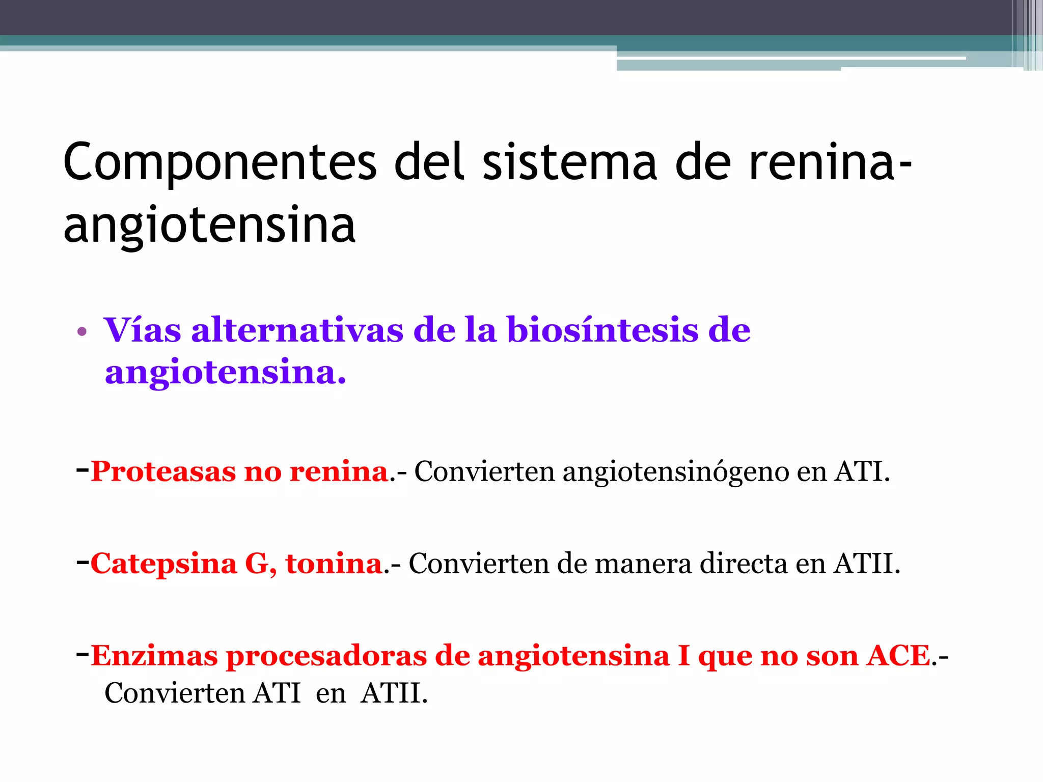 Sistema raa | PPT