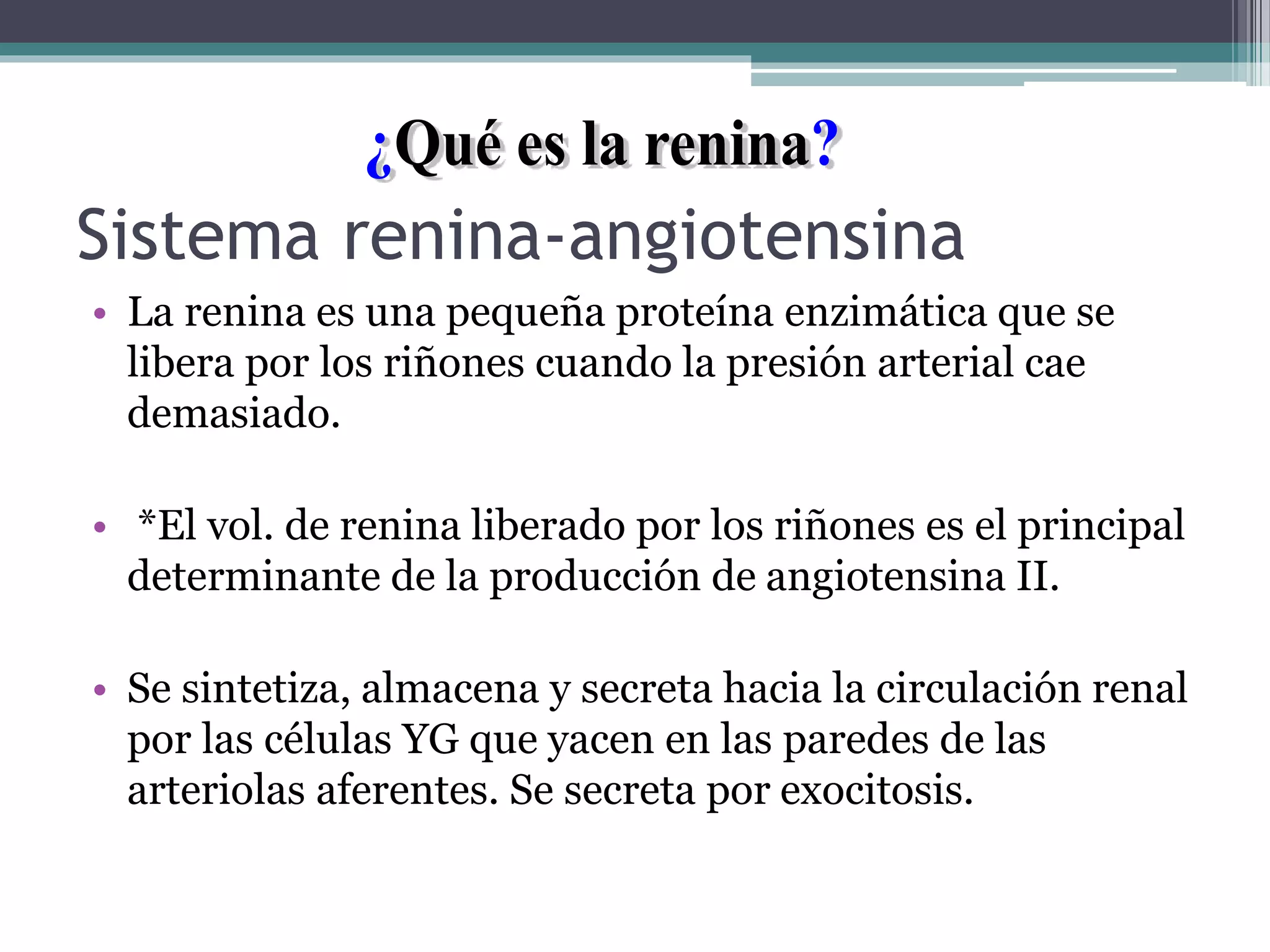 Sistema raa | PPT