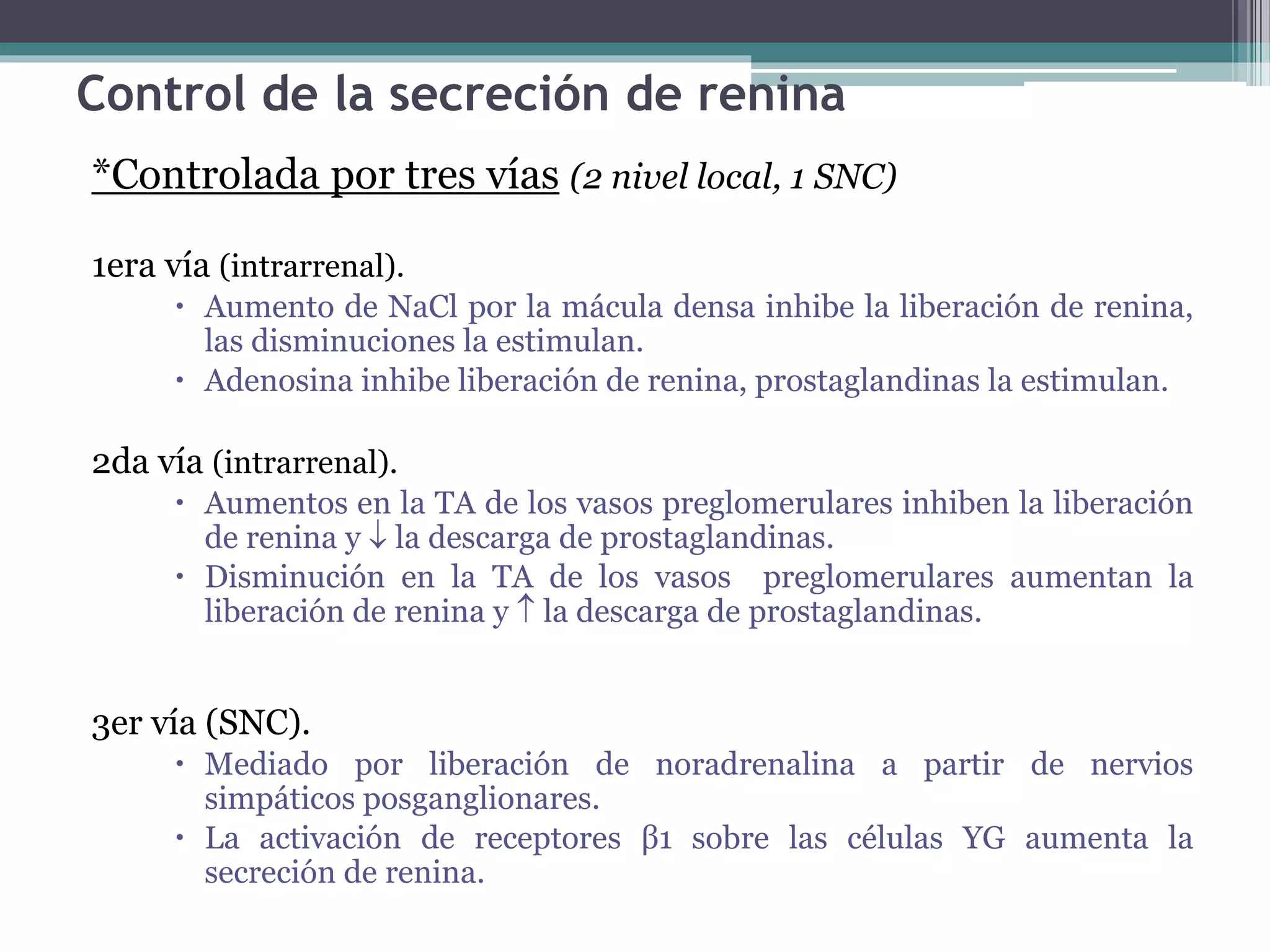 Sistema raa | PPT
