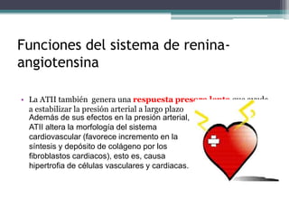 Sistema raa | PPTX