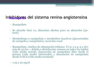 Sistema raa | PPTX
