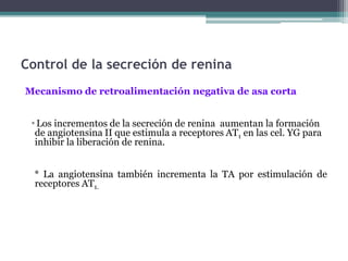 Sistema raa | PPTX