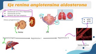 Sistema RAA.pptx