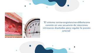 Sistema RAA.pptx