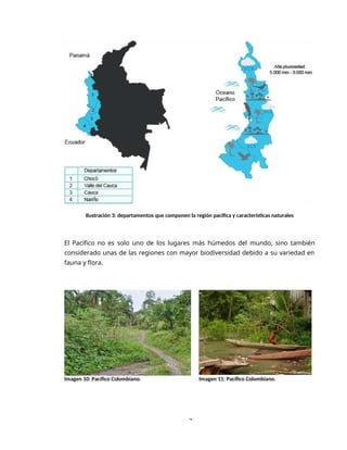 3
Ilustración 3: departamentos que componen la región pacifica y características naturales
El Pacífico no es solo uno de los lugares más húmedos del mundo, sino también
considerado unas de las regiones con mayor biodiversidad debido a su variedad en
fauna y flora.
Imagen 10: Pacífico Colombiano. Imagen 11: Pacífico Colombiano.
 