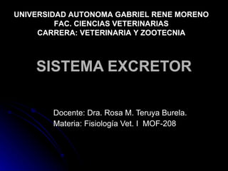 SISTEMA EXCRETOR Docente: Dra. Rosa M. Teruya Burela. Materia: Fisiología Vet. I  MOF-208  UNIVERSIDAD AUTONOMA GABRIEL RENE MORENO FAC. CIENCIAS VETERINARIAS CARRERA: VETERINARIA Y ZOOTECNIA 