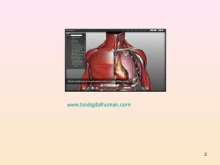 www.biodigitalhuman.com




                          2
 
