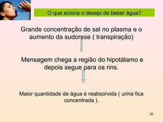 O que aciona o desejo de beber água?


Grande concentração de sal no plasma e o
  aumento da sudorese ( transpiração)


Mensagem chega a região do hipotálamo e
      depois segue para os rins.



Maior quantidade de água é reabsorvida ( urina fica
                 concentrada ).

                                                      20
 