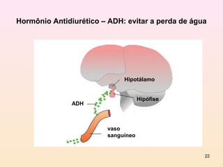 Hormônio Antidiurético – ADH: evitar a perda de água




                             Hipotálamo


                                    Hipófise
               ADH



                        vaso
                        sanguíneo


                                                   22
 