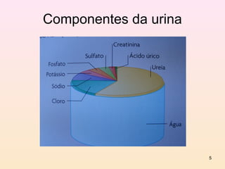 Componentes da urina




                       5
 
