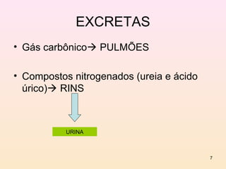 EXCRETAS
• Gás carbônico PULMÕES

• Compostos nitrogenados (ureia e ácido
  úrico) RINS



           URINA



                                          7
 