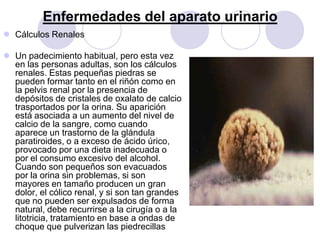 Enfermedades del aparato urinario
 Cálculos Renales

 Un padecimiento habitual, pero esta vez
  en las personas adultas, son los cálculos
  renales. Estas pequeñas piedras se
  pueden formar tanto en el riñón como en
  la pelvis renal por la presencia de
  depósitos de cristales de oxalato de calcio
  trasportados por la orina. Su aparición
  está asociada a un aumento del nivel de
  calcio de la sangre, como cuando
  aparece un trastorno de la glándula
  paratiroides, o a exceso de ácido úrico,
  provocado por una dieta inadecuada o
  por el consumo excesivo del alcohol.
  Cuando son pequeños son evacuados
  por la orina sin problemas, si son
  mayores en tamaño producen un gran
  dolor, el cólico renal, y si son tan grandes
  que no pueden ser expulsados de forma
  natural, debe recurrirse a la cirugía o a la
  litotricia, tratamiento en base a ondas de
  choque que pulverizan las piedrecillas
 