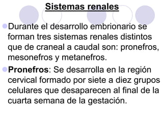 Sistemas renales

Durante el desarrollo embrionario se
 forman tres sistemas renales distintos
 que de craneal a caudal son: pronefros,
 mesonefros y metanefros.
Pronefros: Se desarrolla en la región
 cervical formado por siete a diez grupos
 celulares que desaparecen al final de la
 cuarta semana de la gestación.
 