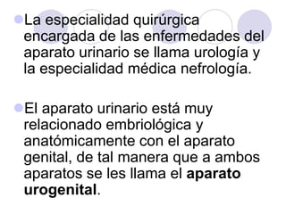La especialidad quirúrgica
 encargada de las enfermedades del
 aparato urinario se llama urología y
 la especialidad médica nefrología.

El aparato urinario está muy
 relacionado embriológica y
 anatómicamente con el aparato
 genital, de tal manera que a ambos
 aparatos se les llama el aparato
 urogenital.
 