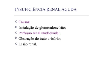 INSUFICIÊNCIA RENAL AGUDA
 Causas:
 Instalação de glomerulonefrite;
 Perfusão renal inadequada;
 Obstrução do trato urinário;
 Lesão renal.
 