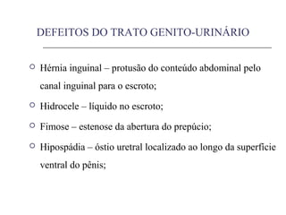 DEFEITOS DO TRATO GENITO-URINÁRIO
 Hérnia inguinal – protusão do conteúdo abdominal pelo
canal inguinal para o escroto;
 Hidrocele – líquido no escroto;
 Fimose – estenose da abertura do prepúcio;
 Hipospádia – óstio uretral localizado ao longo da superfície
ventral do pênis;
 