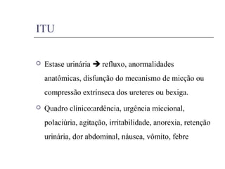 ITU
 Estase urinária  refluxo, anormalidades
anatômicas, disfunção do mecanismo de micção ou
compressão extrínseca dos ureteres ou bexiga.
 Quadro clínico:ardência, urgência miccional,
polaciúria, agitação, irritabilidade, anorexia, retenção
urinária, dor abdominal, náusea, vômito, febre
 