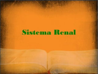 Sistema Renal
 