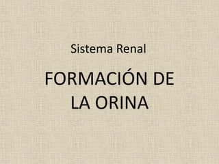 Sistema Renal
FORMACIÓN DE
LA ORINA
 