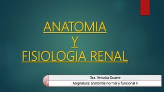 ANATOMIA
Y
FISIOLOGIA RENAL
Dra. Veruska Duarte
Asignatura: anatomía normal y funcional II
 