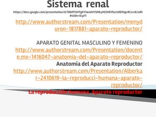Sistema renal
https://docs.google.com/presentation/d/10b9Tl5XFgEY3wsUUYSMkyHlZWEVEu1s0D1Ugv9Czrv8/edit
#slide=id.p11
http://www.authorstream.com/Presentation/menyd
uron-1817881-aparato-reproductor/
APARATO GENITAL MASCULINO Y FEMENINO
http://www.authorstream.com/Presentation/docent
e.mx-1416047-anatomia-del-aparato-reproductor/
Anatomia del Aparato Reproductor
http://www.authorstream.com/Presentation/Alberka
r-2410619-la-reproducci-humana-aparato-
reproductor/
La reproducción humana. Aparato reproductor
 