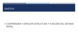 OBJETIVO
 COMPRENDER Y EXPLICAR ESTRUCTURA Y FUNCIÓN DEL SISTEMA
RENAL.
 