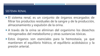 SISTEMA RENAL
 El sistema renal, es un conjunto de órganos encargados de
filtrar los productos residuales de la sangre y de la producción,
almacenamiento y expulsión de la orina.
 A través de la orina se eliminan del organismo los desechos
nitrogenados del metabolismo y otras sustancias tóxicas.
 Estos órganos son esenciales para la hemostasia, ya que
mantienen el equilibrio hídrico, el equilibrio acidobásico y la
presión arterial.
 