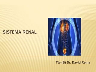 SISTEMA RENAL
Tte.(B) Dr. David Reina
 