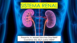 SISTEMA RENAL
Presenta: A. Maylet Sánchez Díaz R4AP
Coordina: Dra. Eliut Juárez MBAP
 