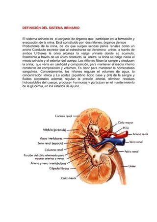 Sistema renal diana