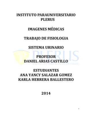 INSTITUTO PARAUNIVERSITARIO
PLERUS
IMAGENES MÉDICAS
TRABAJO DE FISIOLOGIA
SISTEMA URINARIO
PROFESOR
DANIEL ARIAS CASTILLO
ESTUDIANTES
ANA YANCY SALAZAR GOMEZ
KARLA HERRERA BALLESTERO
2014
1
 