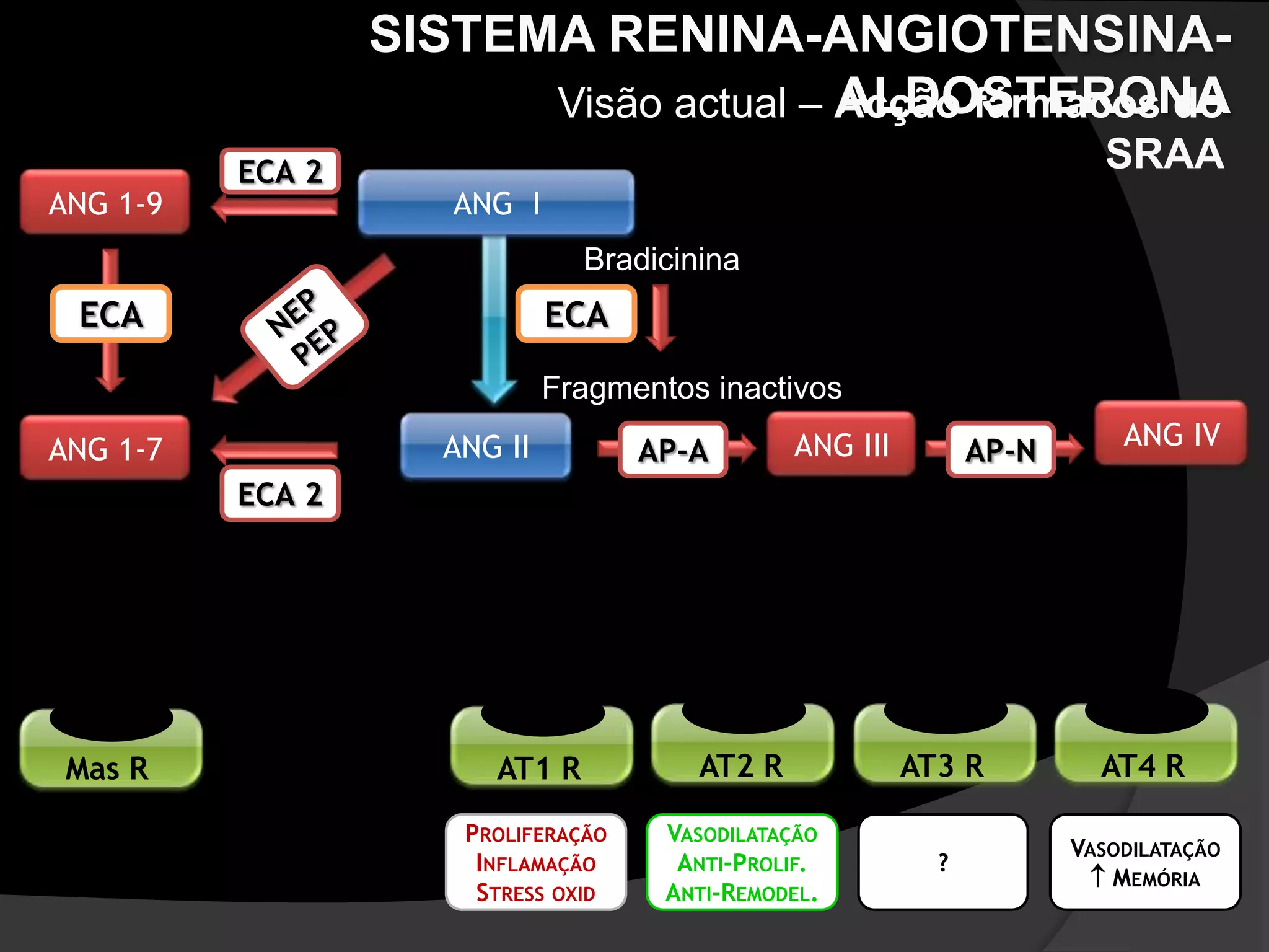 Sistema Renina Angiotensina | PPTX