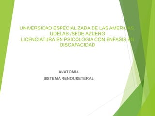 UNIVERSIDAD ESPECIALIZADA DE LAS AMERICAS.
UDELAS /SEDE AZUERO
LICENCIATURA EN PSICOLOGIA CON ENFASIS EN
DISCAPACIDAD
ANATOMIA
SISTEMA RENOURETERAL
 