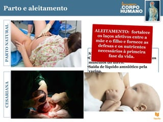 Parto e aleitamento
CESARIANA
PARTO
NATURAL
PARTO: ocorre em média
às 38 semanas (9 meses)
SINAIS:
•Contrações regulares e intensas dos
músculos do útero.
•Saída de líquido amniótico pela
vagina.
FASES:
•Dilatação do colo do útero.
•Expulsão do feto.
•Expulsão da placenta e do âmnio.
ALEITAMENTO: fortalece
os laços afetivos entre a
mãe e o filho e fornece as
defesas e os nutrientes
necessários à primeira
fase da vida.
 