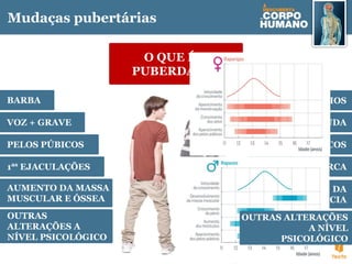 Mudaças pubertárias
O QUE É A
PUBERDADE?
BARBA
VOZ + GRAVE
1as
EJACULAÇÕES
AUMENTO DA MASSA
MUSCULAR E ÓSSEA
PELOS PÚBICOS
SEIOS
VOZ + AGUDA
MENARCA
ALARGAMENTO DA
BACIA
PELOS PÚBICOS
OUTRAS
ALTERAÇÕES A
NÍVEL PSICOLÓGICO
OUTRAS ALTERAÇÕES
A NÍVEL
PSICOLÓGICO
 