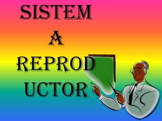 Sistem
   a
reprod
 uctor
 