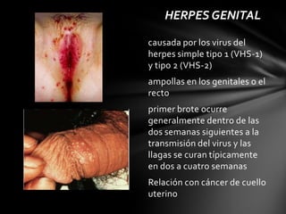 HERPES GENITAL

causada por los virus del
herpes simple tipo 1 (VHS-1)
y tipo 2 (VHS-2)
ampollas en los genitales o el
recto
primer brote ocurre
generalmente dentro de las
dos semanas siguientes a la
transmisión del virus y las
llagas se curan típicamente
en dos a cuatro semanas
Relación con cáncer de cuello
uterino
 