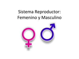 Sistema Reproductor:
Femenino y Masculino
 