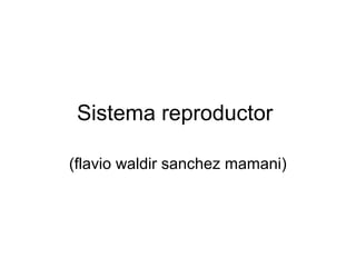 Sistema reproductor

(flavio waldir sanchez mamani)
 